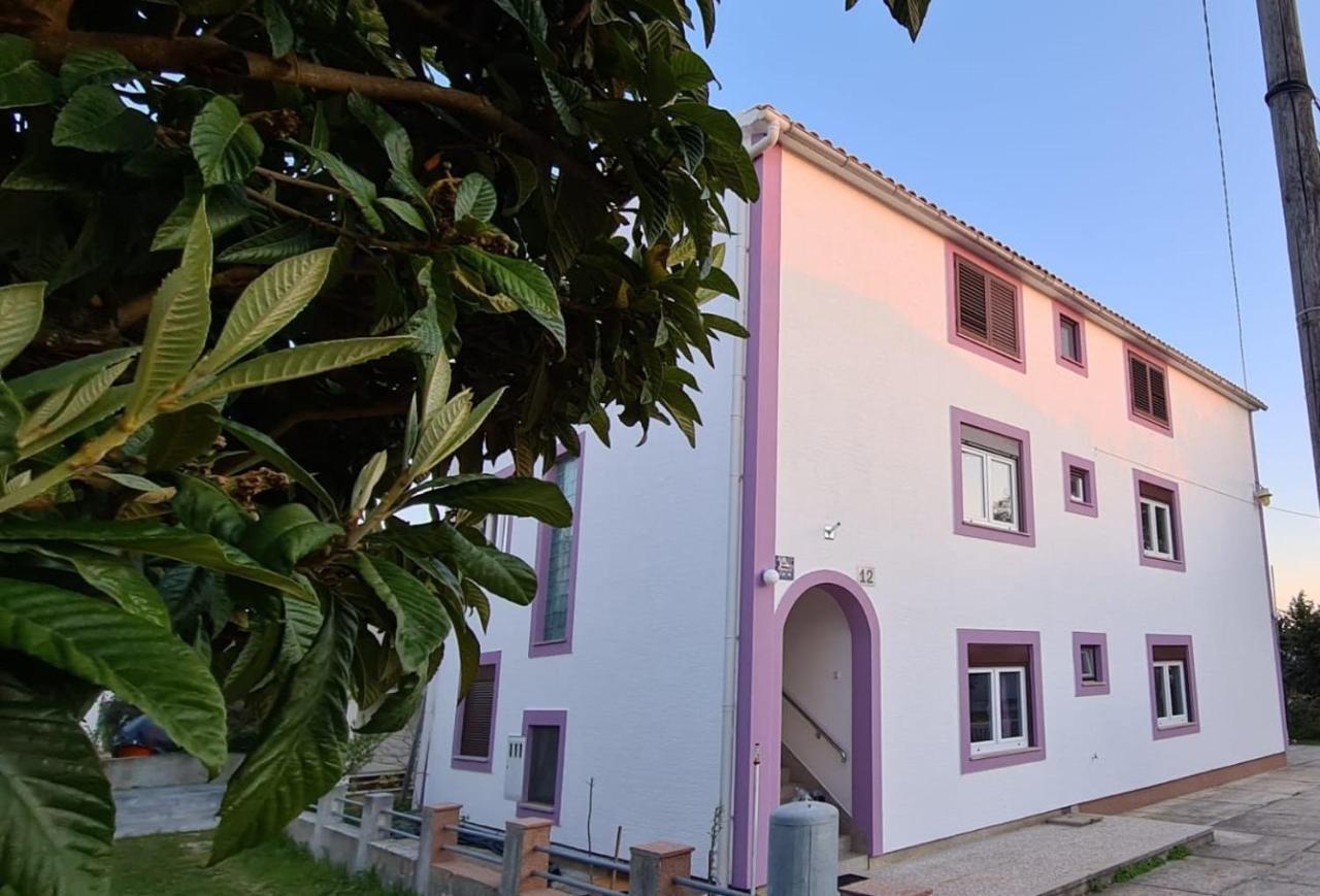 Apartmani Jelena Petrčane Zewnętrze zdjęcie