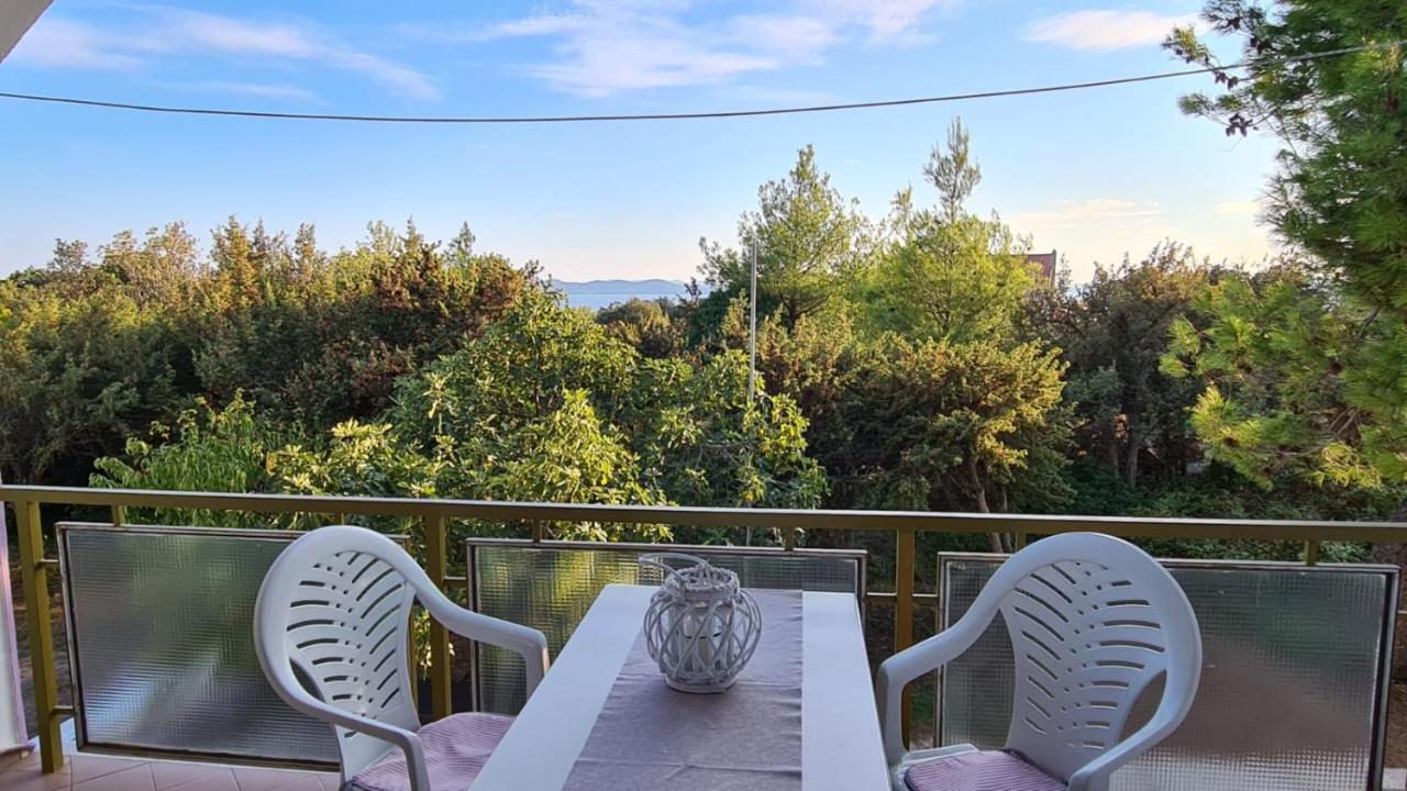 Apartmani Jelena Petrčane Zewnętrze zdjęcie